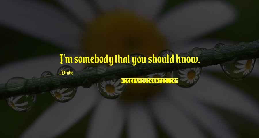 Yanier Quotes By Drake: I'm somebody that you should know.