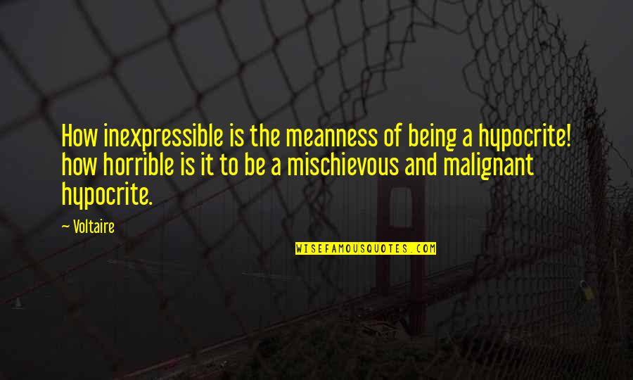 Yanlisiz Quotes By Voltaire: How inexpressible is the meanness of being a Yanlisiz Quotes By Voltaire: How inexpressible is the meanness of being a