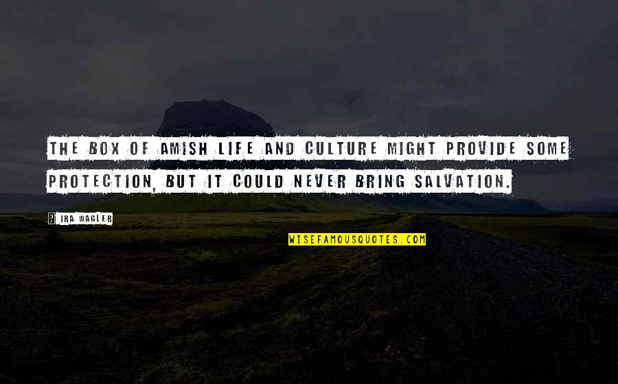 Yannantuono Funeral Home Quotes By Ira Wagler: The box of Amish life and culture might Yannantuono Funeral Home Quotes By Ira Wagler: The box of Amish life and culture might