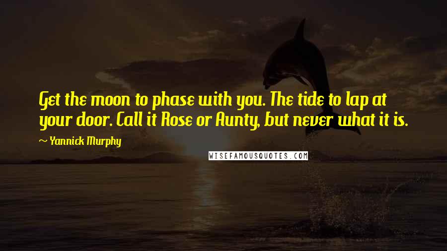 Yannick Murphy quotes: Get the moon to phase with you. The tide to lap at your door. Call it Rose or Aunty, but never what it is. Yannick Murphy quotes: Get the moon to phase with you. The tide to lap at your door. Call it Rose or Aunty, but never what it is.
