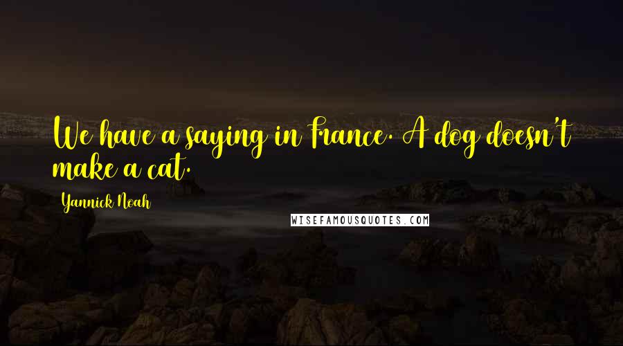 Yannick Noah quotes: We have a saying in France. A dog doesn't make a cat.