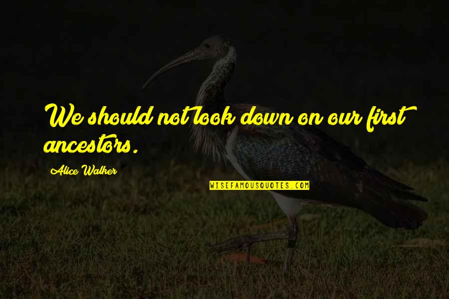 Yannine Quotes By Alice Walker: We should not look down on our first Yannine Quotes By Alice Walker: We should not look down on our first