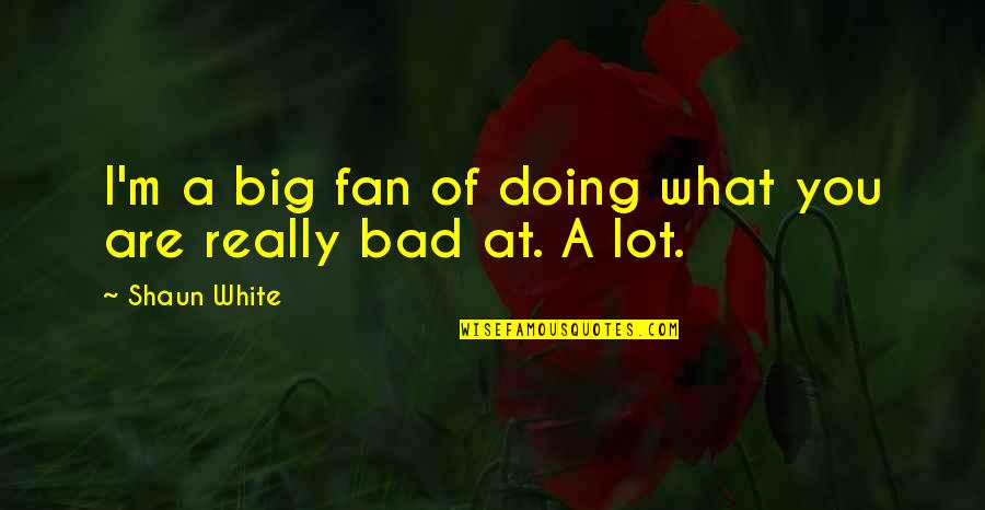 Yantzen Quotes By Shaun White: I'm a big fan of doing what you