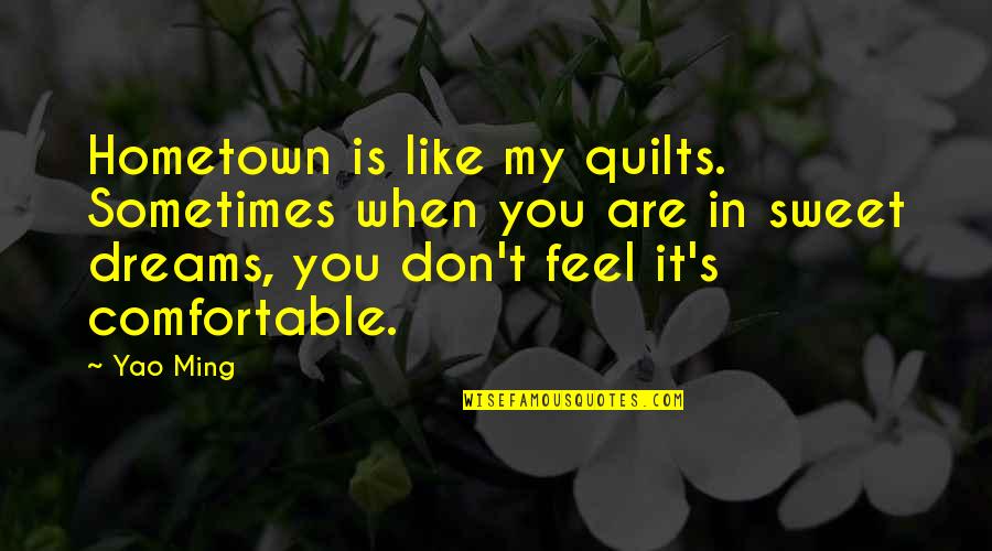 Yao Ming Quotes By Yao Ming: Hometown is like my quilts. Sometimes when you Yao Ming Quotes By Yao Ming: Hometown is like my quilts. Sometimes when you