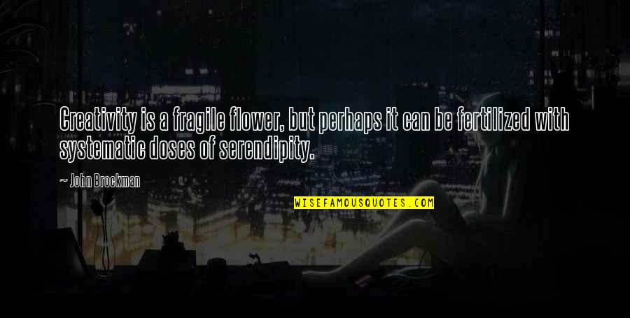 Yaptra Quotes By John Brockman: Creativity is a fragile flower, but perhaps it