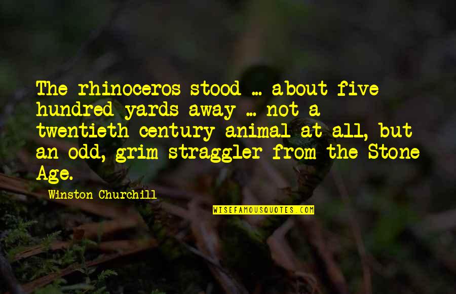 Yards Quotes By Winston Churchill: The rhinoceros stood ... about five hundred yards