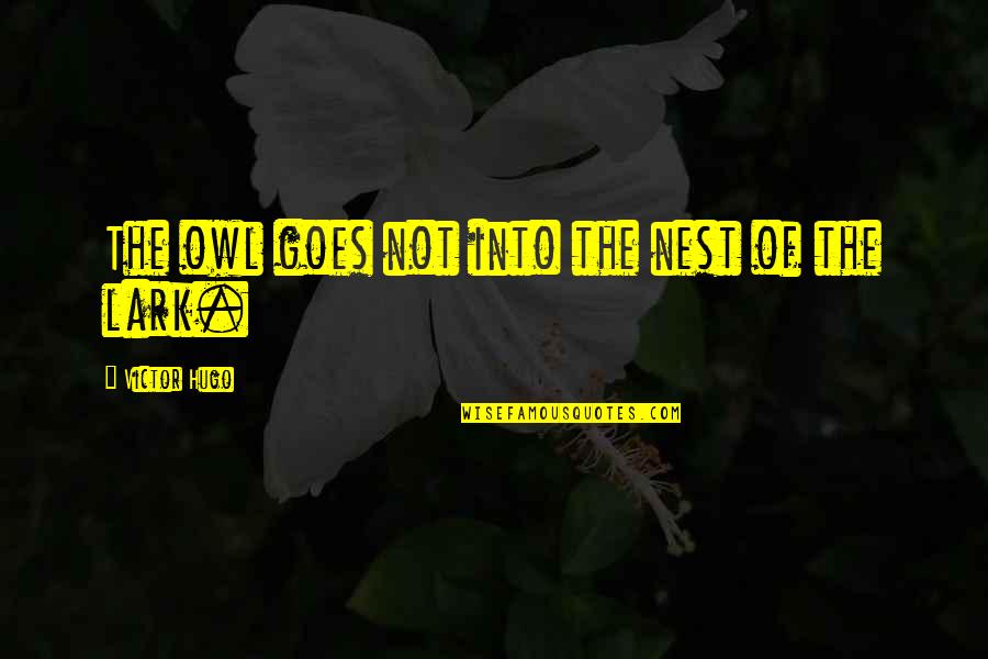 Yascari Quotes By Victor Hugo: The owl goes not into the nest of