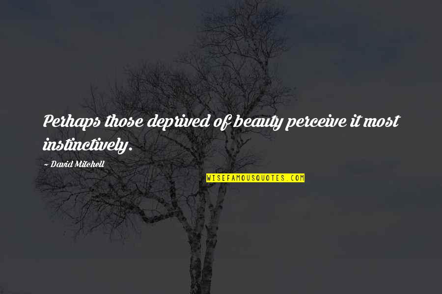 Yaser Birjas Quotes By David Mitchell: Perhaps those deprived of beauty perceive it most Yaser Birjas Quotes By David Mitchell: Perhaps those deprived of beauty perceive it most