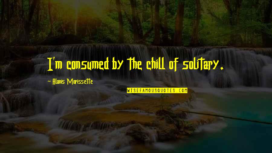Yashinon Quotes By Alanis Morissette: I'm consumed by the chill of solitary. Yashinon Quotes By Alanis Morissette: I'm consumed by the chill of solitary.