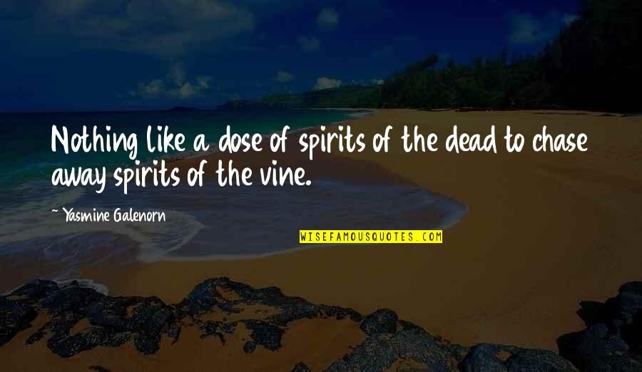 Yasmine Quotes By Yasmine Galenorn: Nothing like a dose of spirits of the