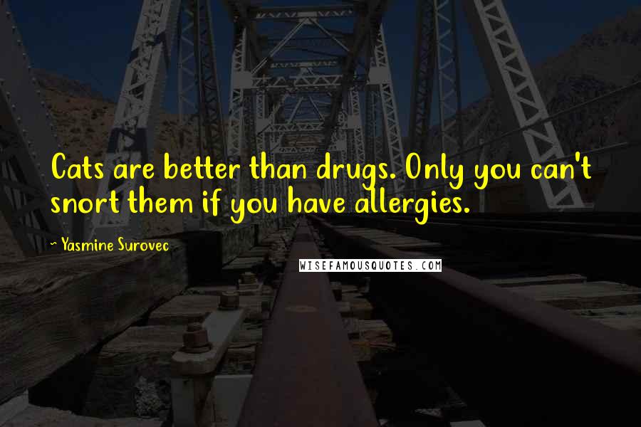 Yasmine Surovec quotes: Cats are better than drugs. Only you can't snort them if you have allergies.