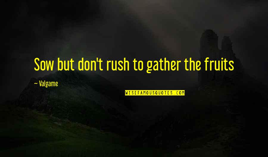 Yasumasa Quotes By Valgame: Sow but don't rush to gather the fruits