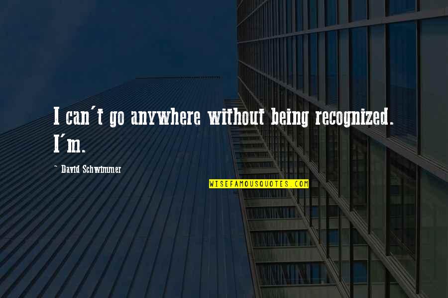 Yatsuhashi Tsukumo Quotes By David Schwimmer: I can't go anywhere without being recognized. I'm. Yatsuhashi Tsukumo Quotes By David Schwimmer: I can't go anywhere without being recognized. I'm.
