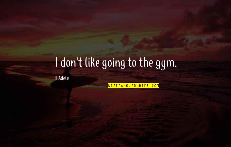 Yavuz Gultekin Quotes By Adele: I don't like going to the gym.