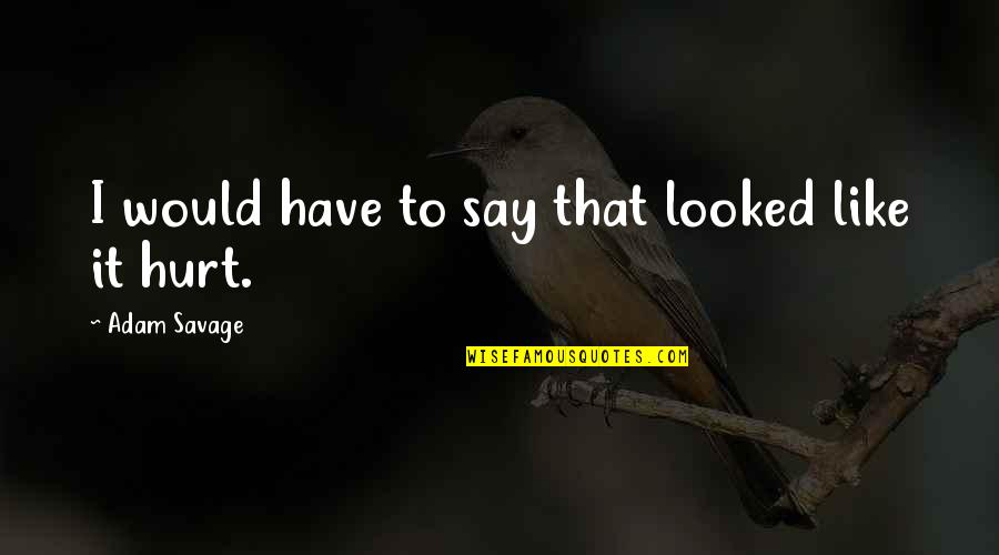 Yazna Quotes By Adam Savage: I would have to say that looked like