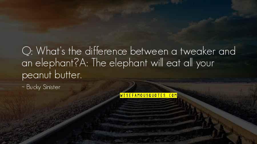 Yeaars Quotes By Bucky Sinister: Q: What's the difference between a tweaker and Yeaars Quotes By Bucky Sinister: Q: What's the difference between a tweaker and