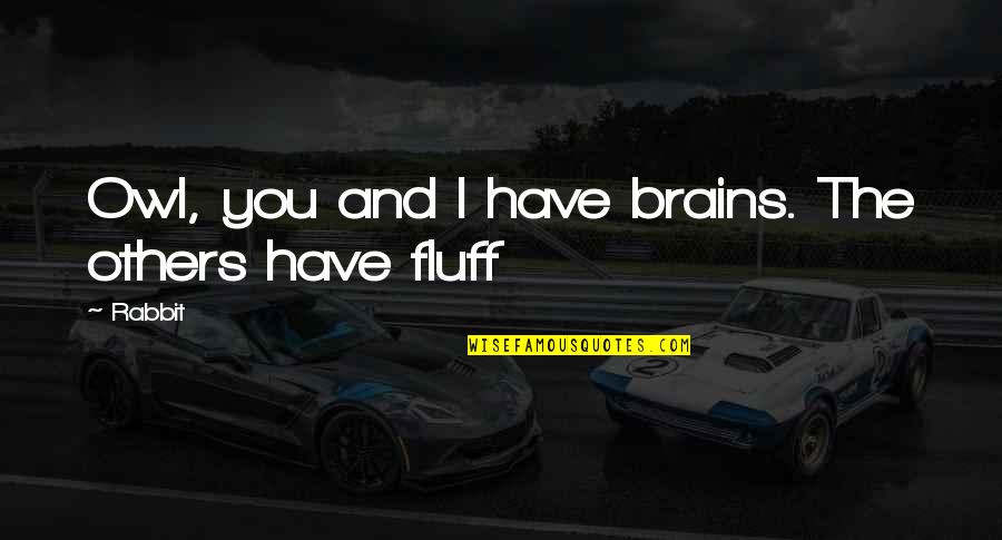Yeakey Suicide Quotes By Rabbit: Owl, you and I have brains. The others