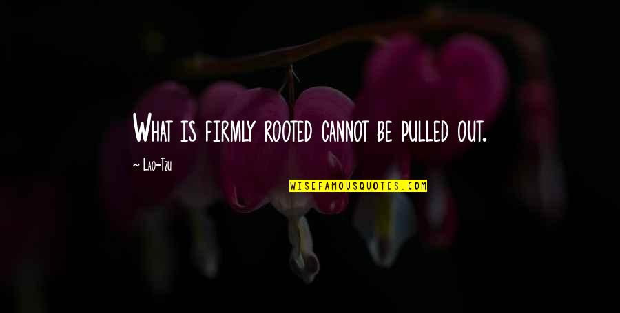 Yearbook Funny Quotes By Lao-Tzu: What is firmly rooted cannot be pulled out.