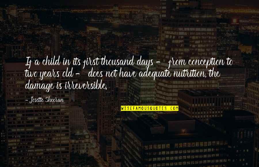 Years To Days Quotes By Josette Sheeran: If a child in its first thousand days Years To Days Quotes By Josette Sheeran: If a child in its first thousand days