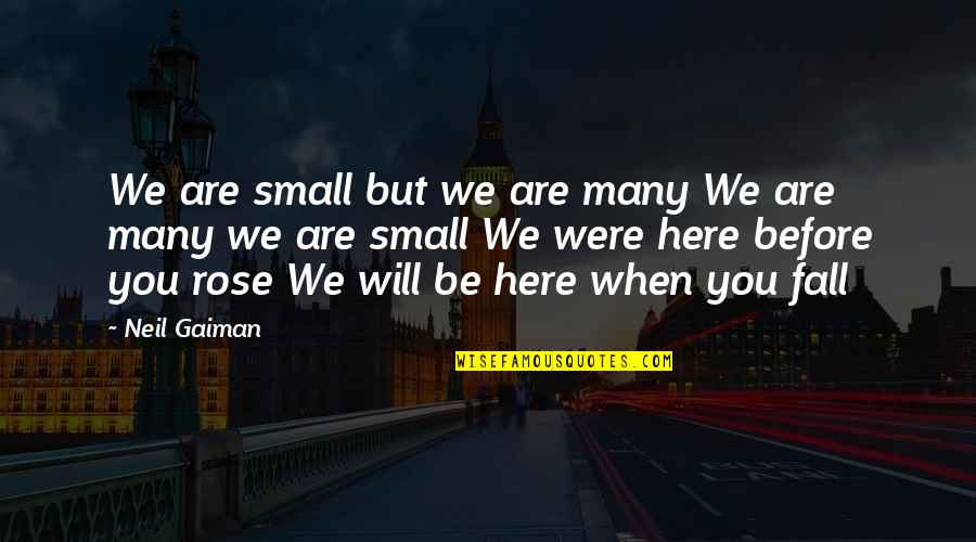 Yedan Derryg Quotes By Neil Gaiman: We are small but we are many We Yedan Derryg Quotes By Neil Gaiman: We are small but we are many We