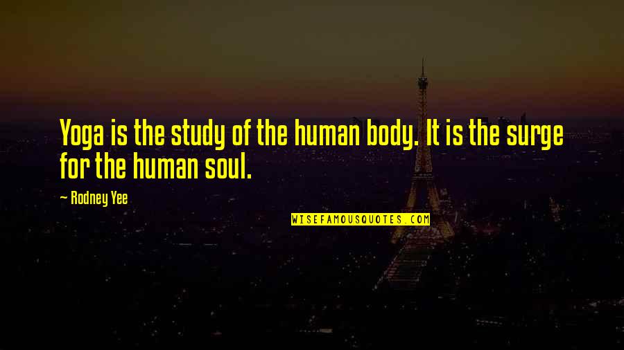 Yee Yee Quotes By Rodney Yee: Yoga is the study of the human body.