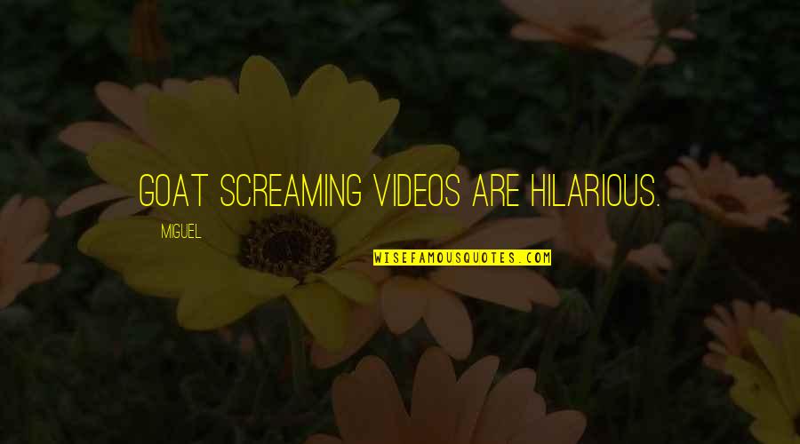Yeh Aisa Hona Chahiye Quotes By Miguel: Goat screaming videos are hilarious. Yeh Aisa Hona Chahiye Quotes By Miguel: Goat screaming videos are hilarious.