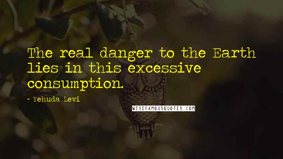 Yehuda Levi quotes: The real danger to the Earth lies in this excessive consumption.