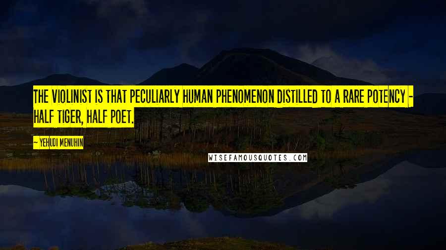 Yehudi Menuhin quotes: The violinist is that peculiarly human phenomenon distilled to a rare potency - half tiger, half poet.