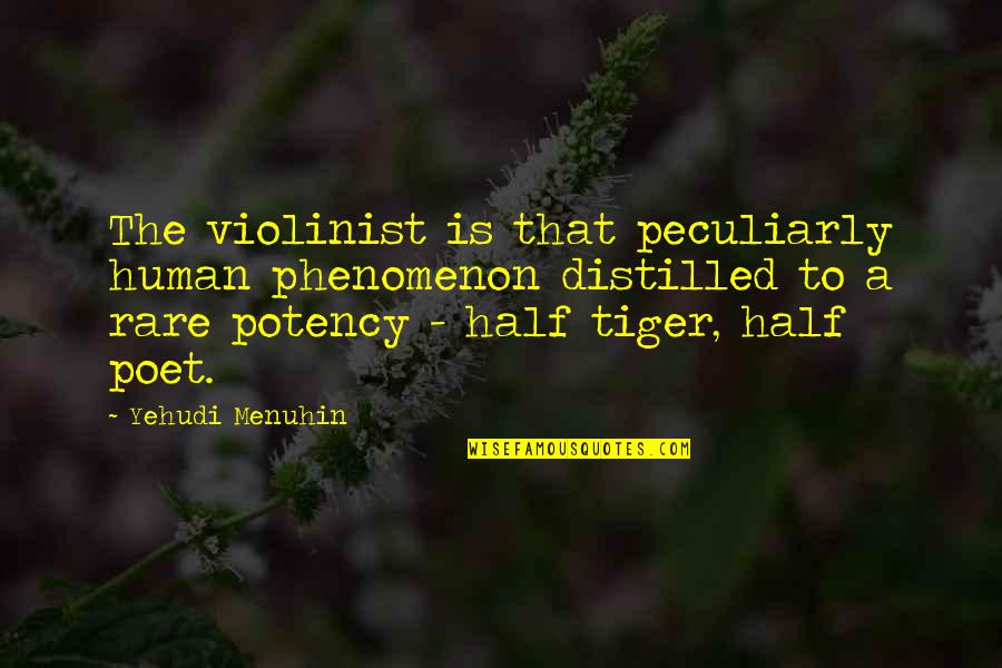 Yehudi Quotes By Yehudi Menuhin: The violinist is that peculiarly human phenomenon distilled