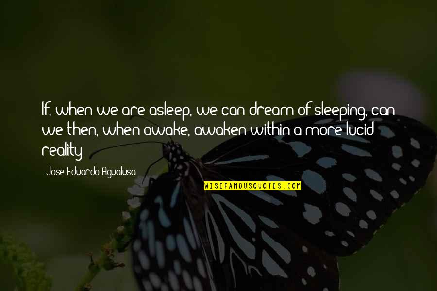 Yelle Quotes By Jose Eduardo Agualusa: If, when we are asleep, we can dream
