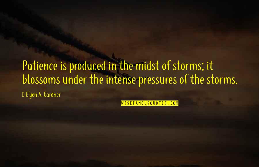 Yen Quotes By E'yen A. Gardner: Patience is produced in the midst of storms;