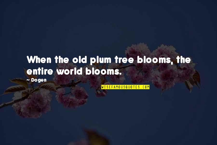 Yeray Alvarez Quotes By Dogen: When the old plum tree blooms, the entire