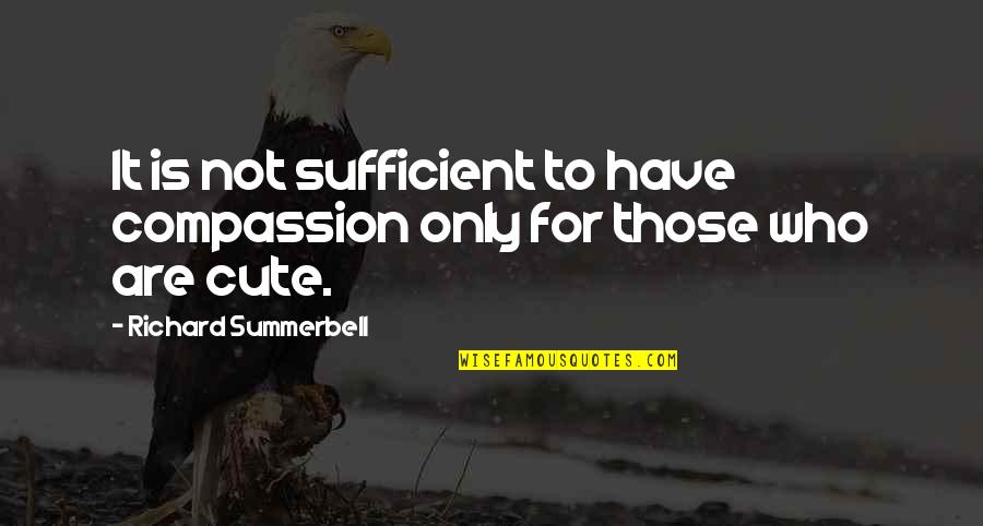Yerimey Quotes By Richard Summerbell: It is not sufficient to have compassion only Yerimey Quotes By Richard Summerbell: It is not sufficient to have compassion only