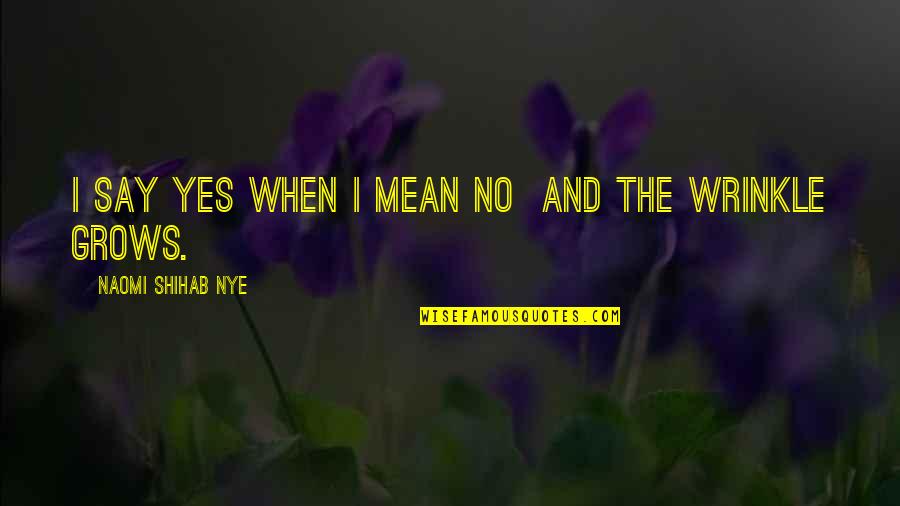 Yes And No Quotes By Naomi Shihab Nye: I say yes when I mean no and