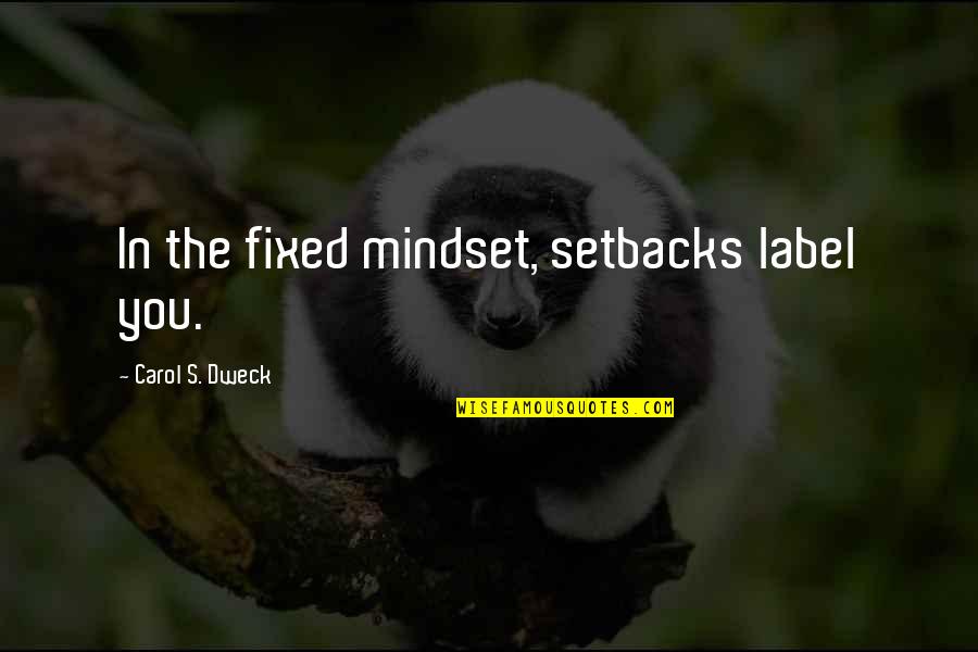 Yes Carol Quotes By Carol S. Dweck: In the fixed mindset, setbacks label you. Yes Carol Quotes By Carol S. Dweck: In the fixed mindset, setbacks label you.