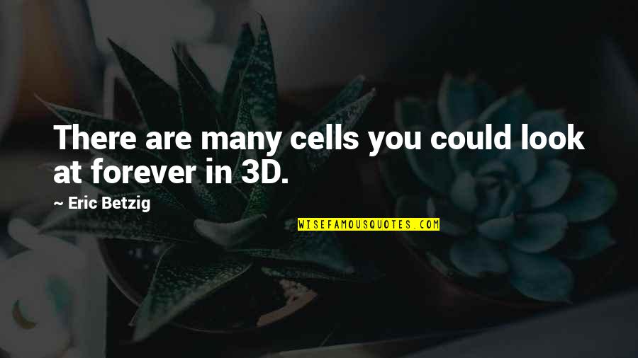 Yes Forever Quotes By Eric Betzig: There are many cells you could look at Yes Forever Quotes By Eric Betzig: There are many cells you could look at