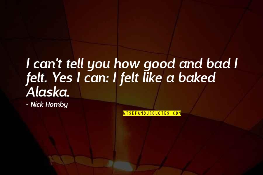 Yes I Can Quotes By Nick Hornby: I can't tell you how good and bad