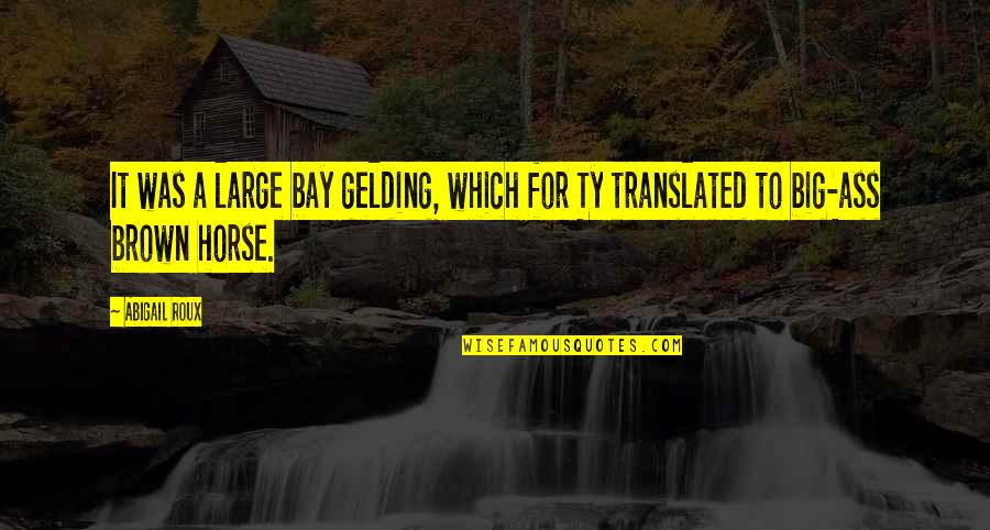 Yes Please Amy Poehler Book Quotes By Abigail Roux: It was a large bay gelding, which for