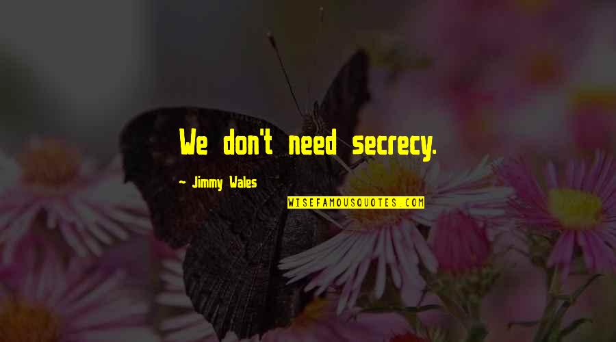 Yesser Hajnasser Quotes By Jimmy Wales: We don't need secrecy. Yesser Hajnasser Quotes By Jimmy Wales: We don't need secrecy.