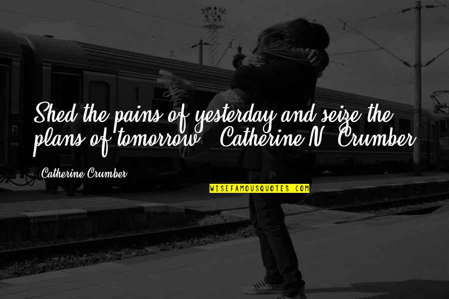 Yesterday And Tomorrow Quotes By Catherine Crumber: Shed the pains of yesterday and seize the