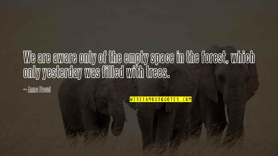 Yesterday Quotes By Anna Freud: We are aware only of the empty space Yesterday Quotes By Anna Freud: We are aware only of the empty space
