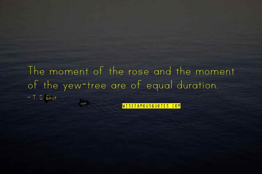 Yew Quotes By T. S. Eliot: The moment of the rose and the moment