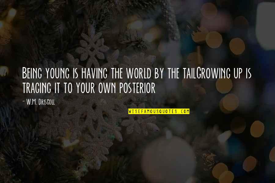 Yianna Quotes By W.M. Driscoll: Being young is having the world by the Yianna Quotes By W.M. Driscoll: Being young is having the world by the