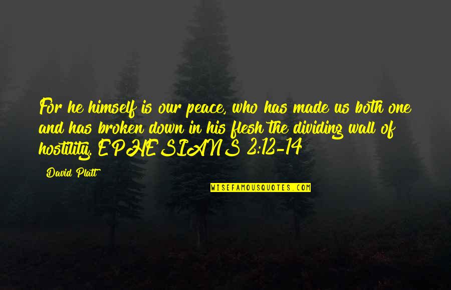 Yitik Desen Quotes By David Platt: For he himself is our peace, who has Yitik Desen Quotes By David Platt: For he himself is our peace, who has