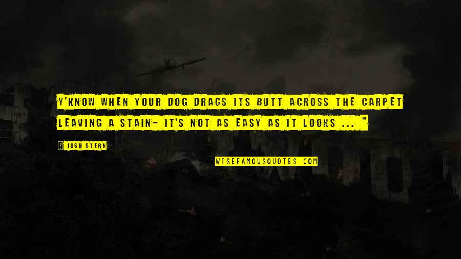 Y'know Quotes By Josh Stern: Y'know when your dog drags its butt across Y'know Quotes By Josh Stern: Y'know when your dog drags its butt across