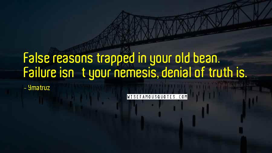 Ymatruz quotes: False reasons trapped in your old bean. Failure isn't your nemesis, denial of truth is.