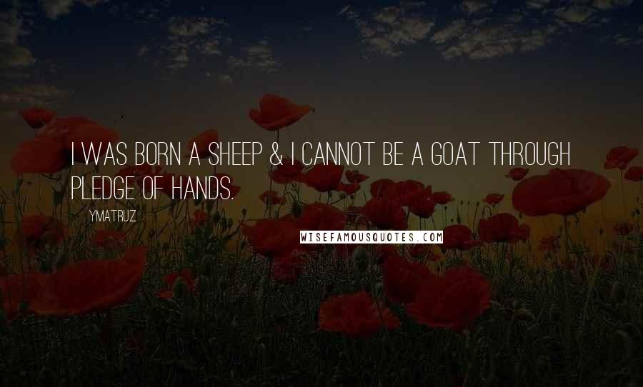 Ymatruz quotes: I was born a sheep & I cannot be a goat through pledge of hands.