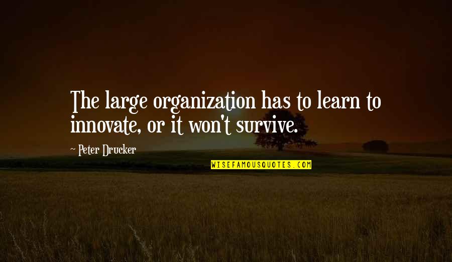 Yoda Lightsaber Quote Quotes By Peter Drucker: The large organization has to learn to innovate,