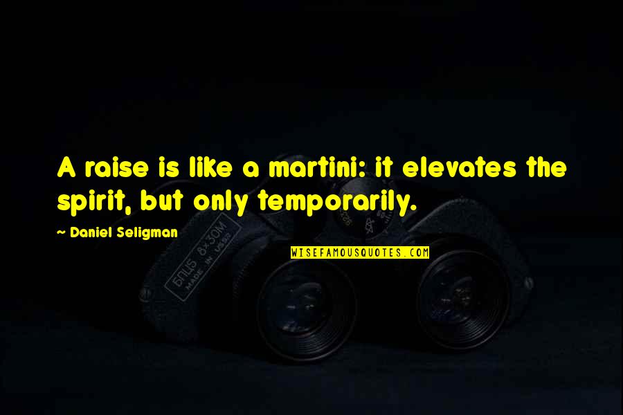 Yodelling Game Quotes By Daniel Seligman: A raise is like a martini: it elevates