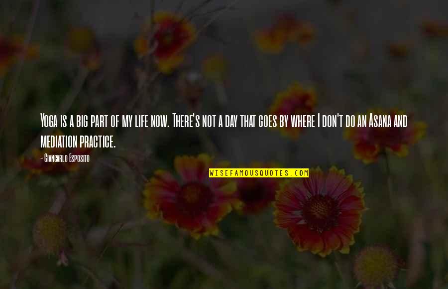 Yoga Is Life Quotes By Giancarlo Esposito: Yoga is a big part of my life